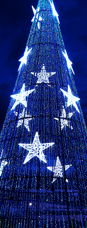 lampki neonowe ukazujące gwiazdki