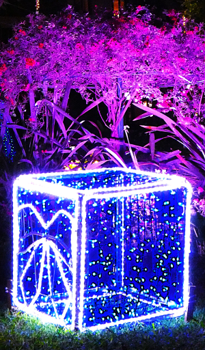 neonowe lampki pokazujące prezent pod choinkę