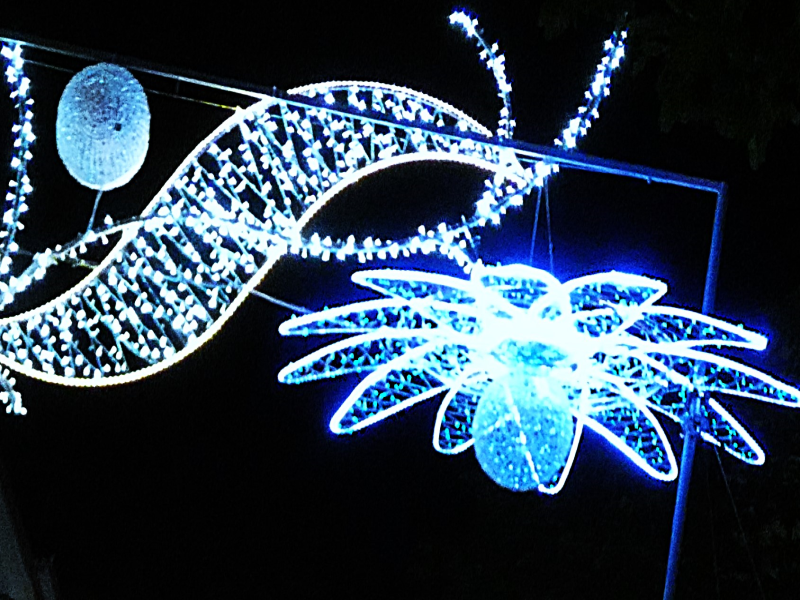 jasnobłęgkitne neonowe lampki w fantazyjnych wzorach